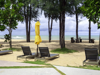 Rear view of chairs on park bench by sea