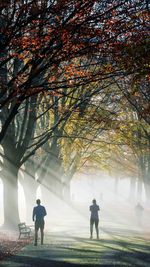 Man and woman standing on pathway amidst tree during foggy weather at park