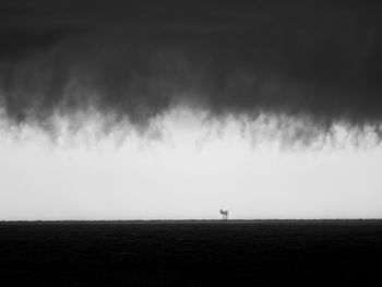 Distant view of silhouette people on field against sky