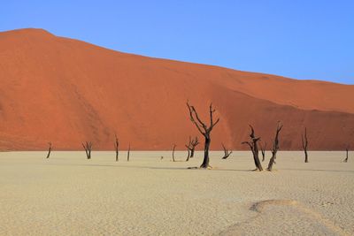 Scenic view of desert against clear blue sky