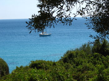 Scenic view of sea against clear sky