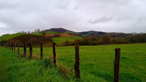 Scenic view of grassy field against cloudy sky