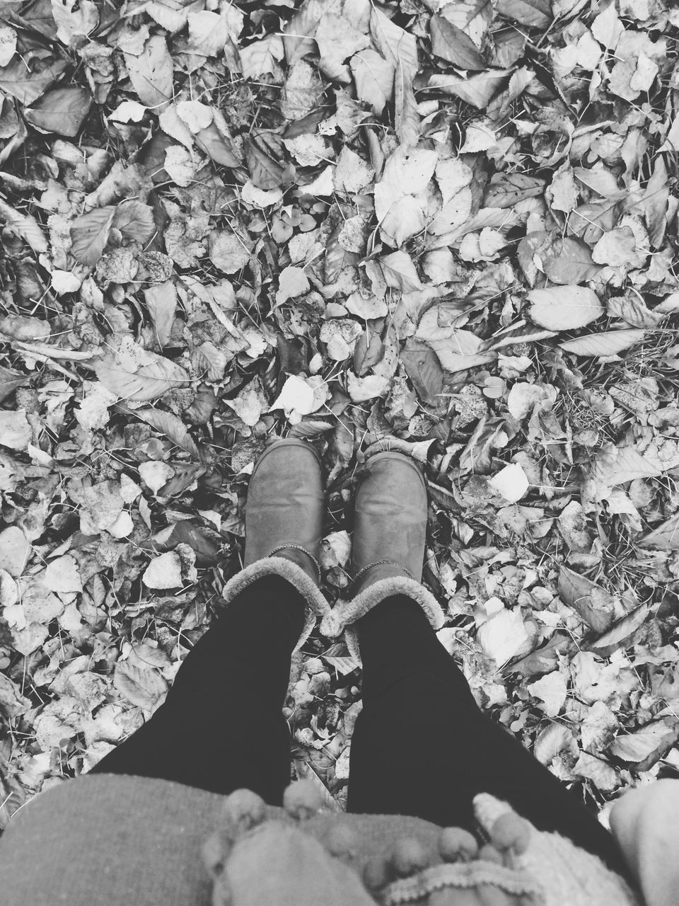 low section, person, leaf, shoe, high angle view, lifestyles, personal perspective, standing, autumn, leisure activity, day, outdoors, nature, unrecognizable person, season, dry, men