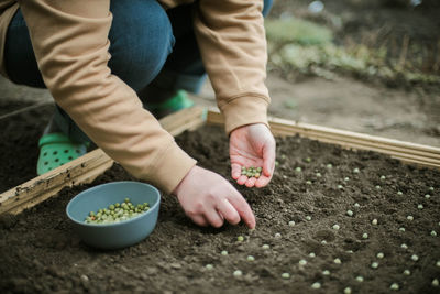 Midsection of man gardening