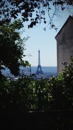 Trees and buildings against sky