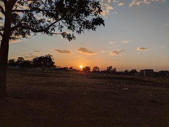 Silhouette trees on field against sky at sunset