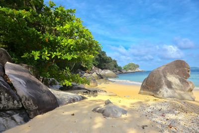 Scenic view of sea against sky