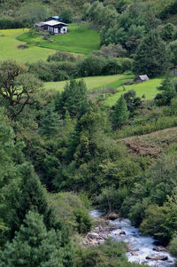 High angle view of trees and houses on field