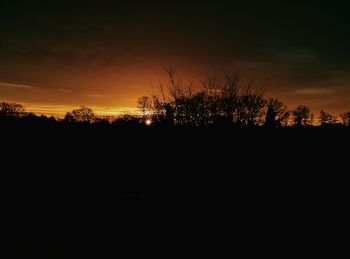 Silhouette of trees at sunset