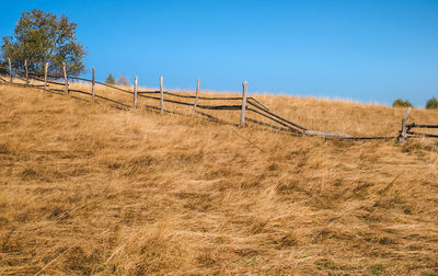 Scenic view of field against clear sky