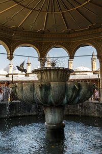  fountain view