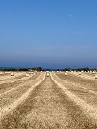 Scenic view of agricultural field against clear blue sky