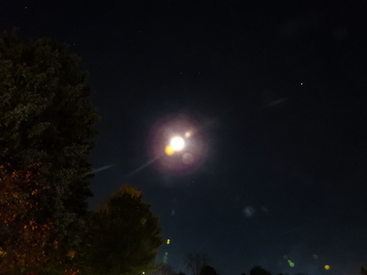 LOW ANGLE VIEW OF TREES AGAINST MOON AT NIGHT