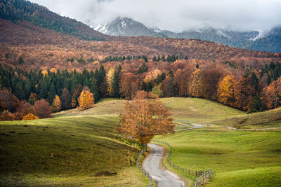 Scenic view of landscape against sky during autumn