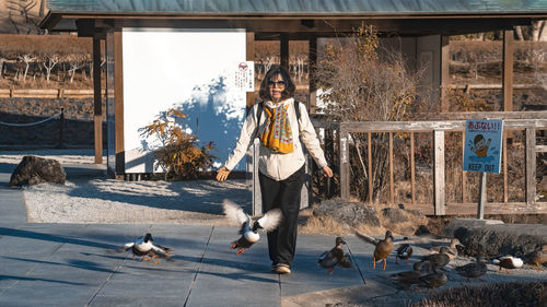 Full length of young woman standing by lake with frighting ducks