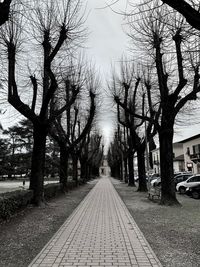 View of railroad tracks along bare trees