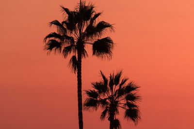 Low angle view of silhouette palm tree against romantic sky