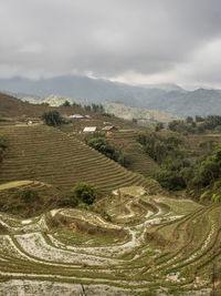 High angle view of agricultural field against sky