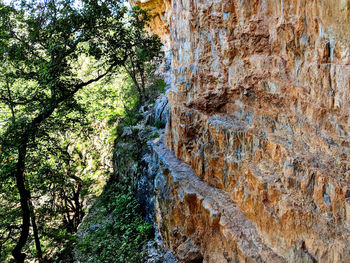 Scenic view of rocks in forest