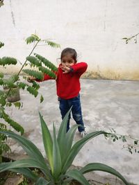 Full length of cute boy standing against plants