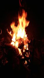 Close-up of bonfire at night