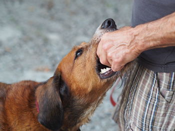 Midsection of man with dog