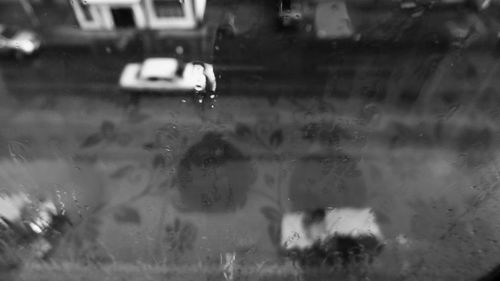 Close-up of wet car window