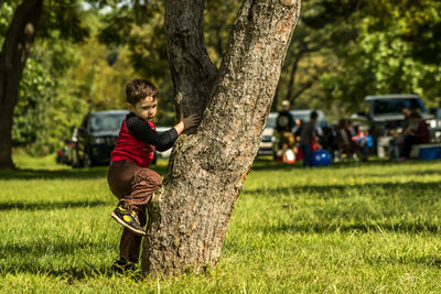 Boy climbing on tree trunk at park