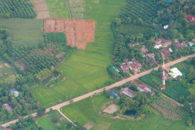 High angle view of agricultural landscape