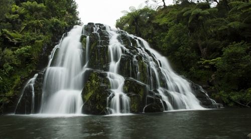 Waterfall in forest