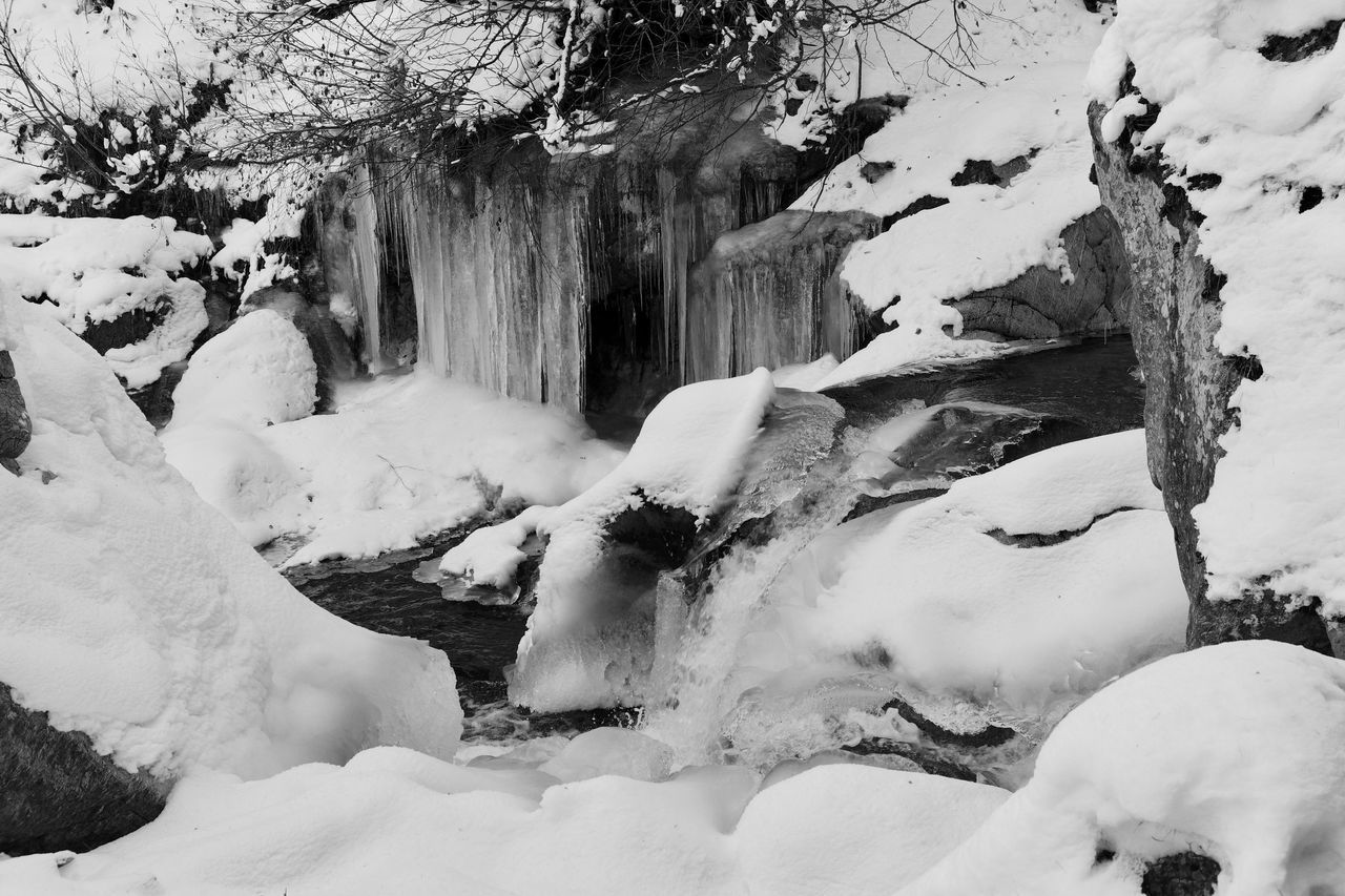 SNOW COVERED TREES AND ROCKS