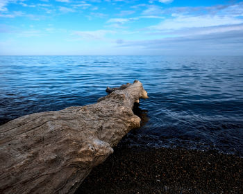 The lake and the sky blend in shades of blue at the horizon in this peaceful scene.