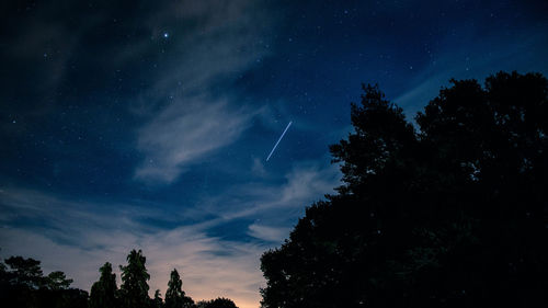 Low angle view of silhouette trees against sky at night