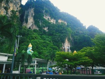 Trees in city against mountain