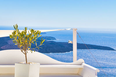 Plant by swimming pool against sea against clear sky