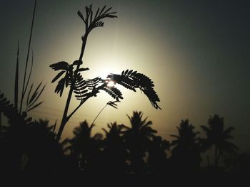 Low angle view of silhouette palm trees against sky at sunset