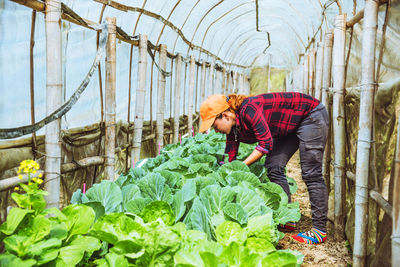 Woman working in greenhouse