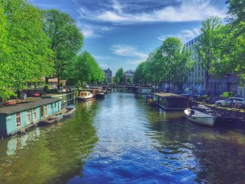 View of canal along trees