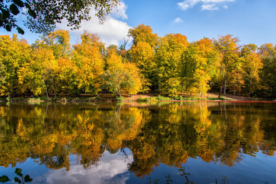 Scenic view of lake by trees during autumn