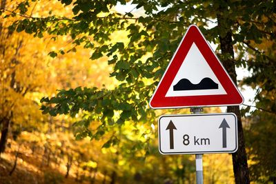 Road warning sign on autumn color background