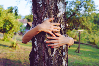 Cropped hands of woman embracing tree trunk
