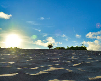 Scenic view of beach against blue sky