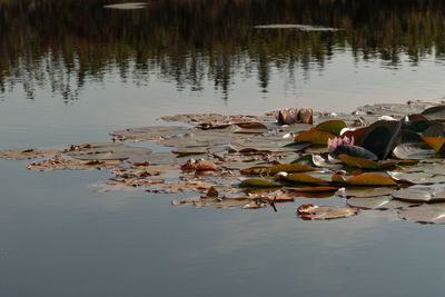 View of people sitting in lake