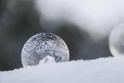 Close-up of crystal ball in winter