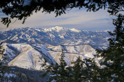 Snow covered mountains framed by tree limbs