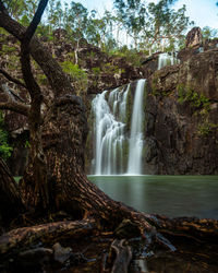 Scenic view of waterfall in forest