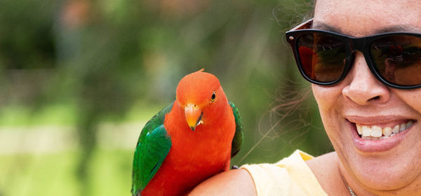 Portrait of man wearing sunglasses