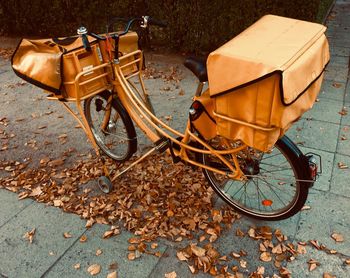 High angle view of damaged leaves on street