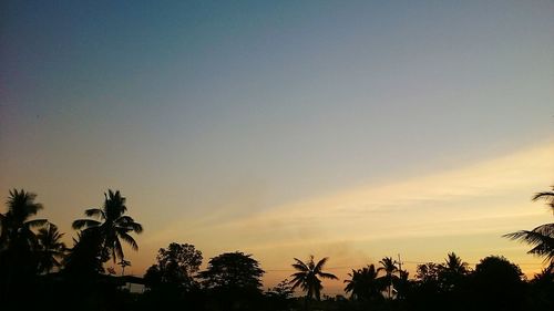 Low angle view of silhouette trees against sky