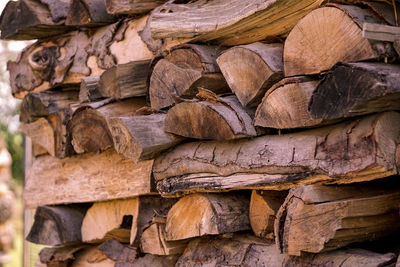 Full frame shot of logs in forest